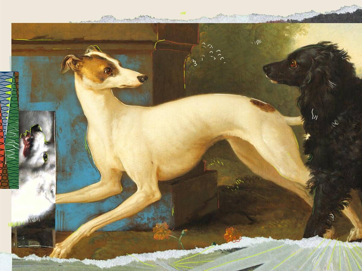 pixelfable-111_dog_accuses_death_flat_v03